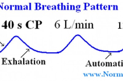 Normal Respiratory Frequency and Ideal Breathing