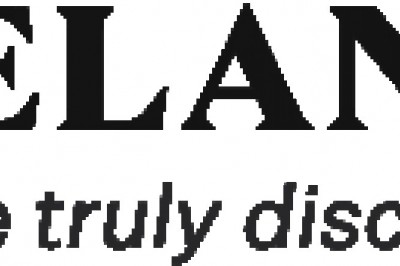 Get The Handcrafted Slim Cool Wallets For yourself Only At Elan Accessories