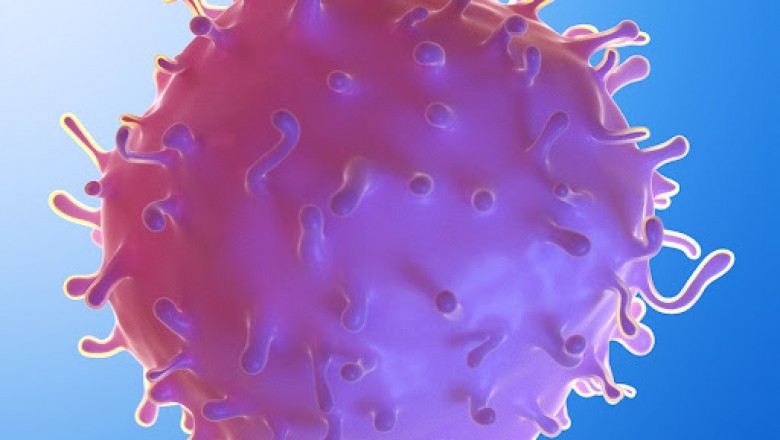 Orthobiologics News, Industry Demand and Business Growth