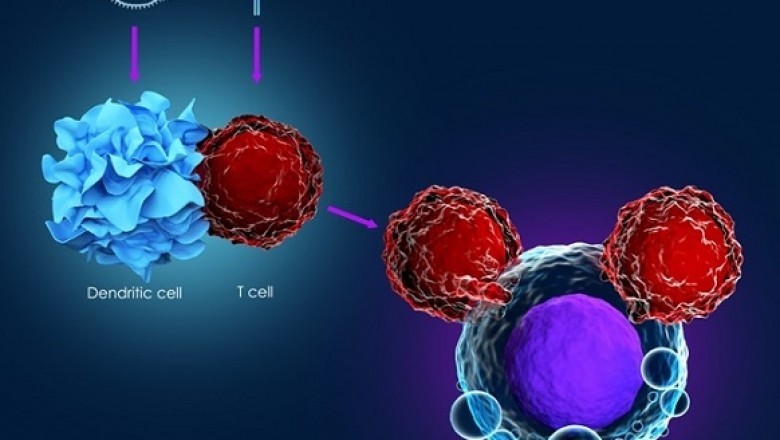 Cancer Immunotherapy Market Trending Technologies, Remarkable Developments and Key Players like Roche, Pfizer, Eli Lilly, Bayer | Foreseen Till 2027