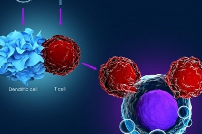 Cancer Immunotherapy Market Trending Technologies, Remarkable Developments and Key Players like Roche, Pfizer, Eli Lilly, Bayer | Foreseen Till 2027