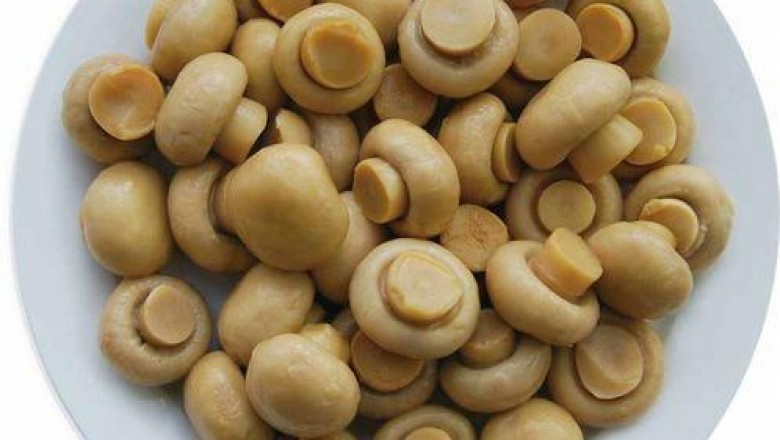 Generally, canned mushrooms are the canned version of fresh mushrooms and can be used in many dishes, including soups and broths. They also taste great.