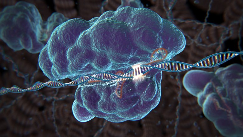 Genome engineering has already proven to be a game-changing technique with applications in agriculture, DNA sequencing, and cancer treatment.