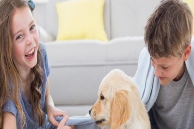 Grout and Tile Cleaning Service  in Pleasanton, CA