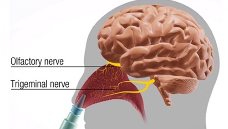 Growing Industry of Nasal Drug Delivery Market | Estimated to Reach High CAGR | Top Key Players – J&J, BD, 3M, GSK, Merck