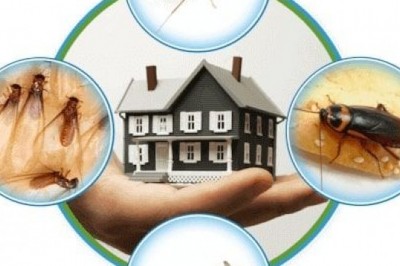 pest control services in hyderabad
