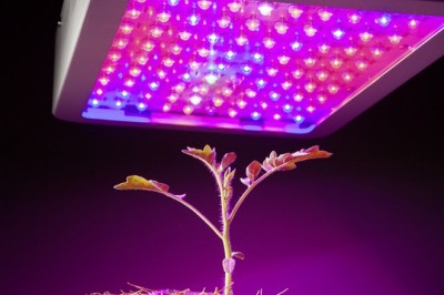 This LED Lighting Horticulture is a boon for gardeners as they can use this lighting technology for a long time.
