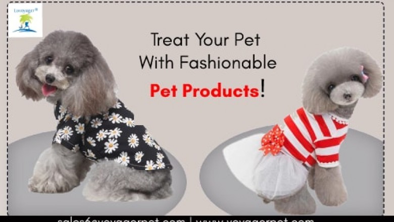Treat Your Pet With Fashionable Pet Products!