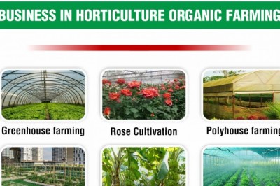 Want to Start a business in Horticulture organic farming with Project Report | IID Lucknow