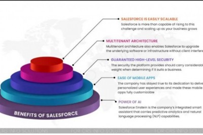 Salesforce CRM Development - A Should For Rapid Business Development
