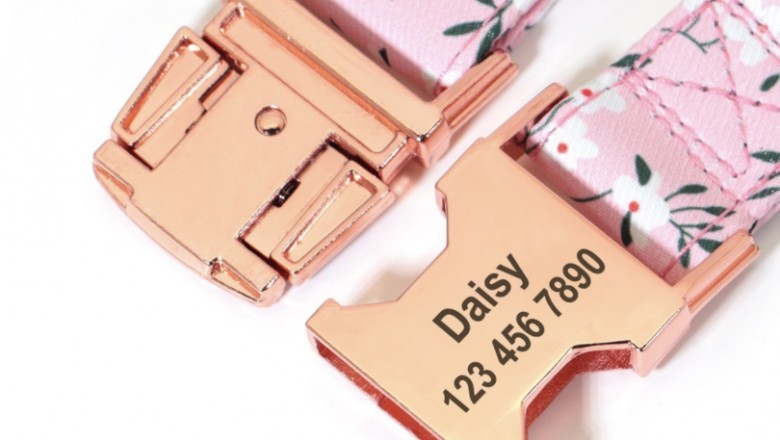 Puppy Dog ID Collar- | Wedding Dog Collar | Personalized Dog ID Collar - CurliTail