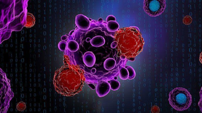 The Non-Hodgkin's Lymphoma Treatment Market, 2018-2026 - Market Estimate, Competitive Landscape, Industry Size