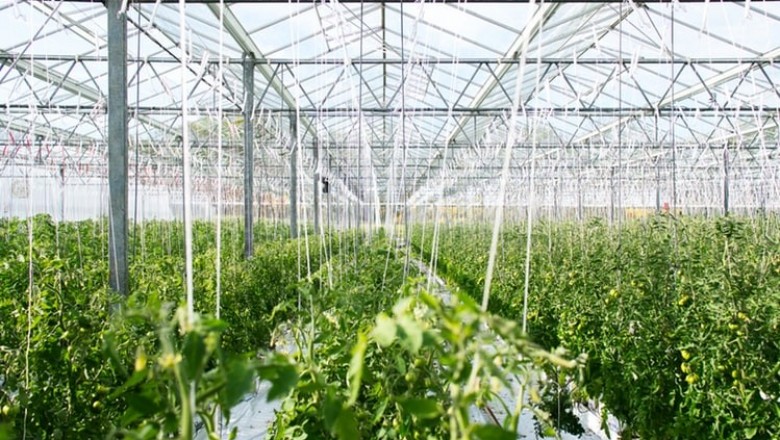 Automat World Greenhouse