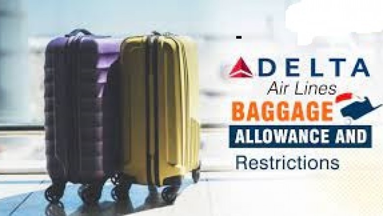 How Much Does Delta Charge Bags