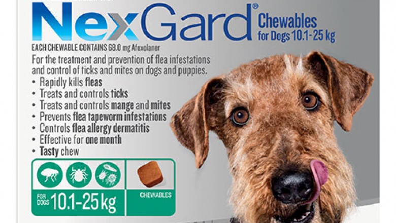 Nexgard Chewables For Dogs 10.1-25Kg Green | DiscountPetCare