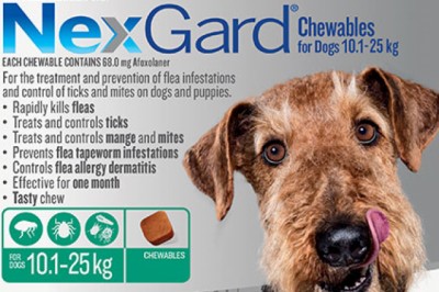 Nexgard Chewables For Dogs 10.1-25Kg Green | DiscountPetCare