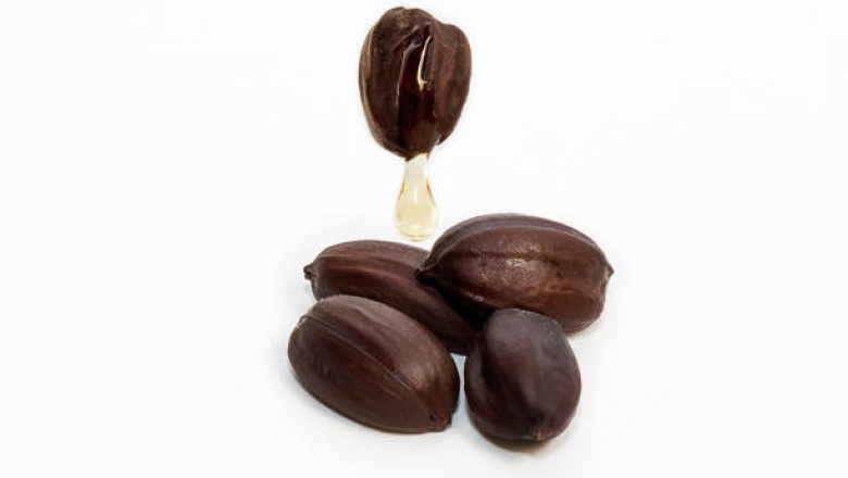 Top 8 Best Jojoba Oil brands to Buy Online for Skin and Hair