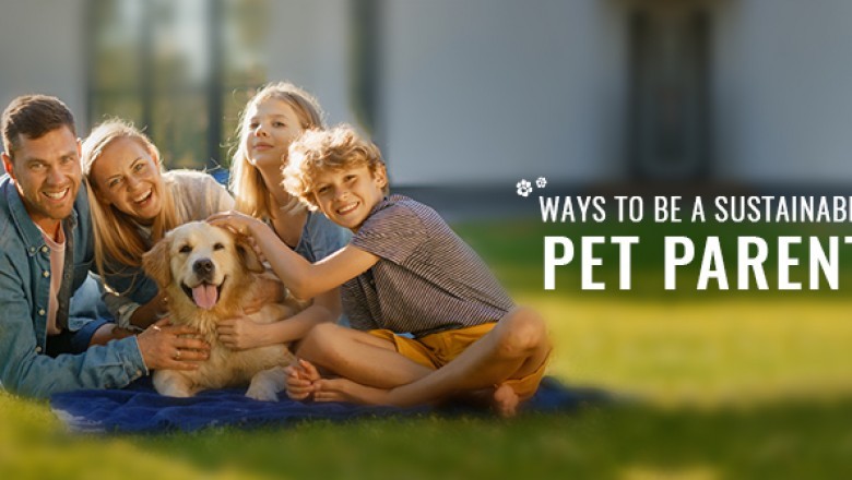 Ways to be a Sustainable Pet Parent