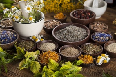 Herbal Store - Qualities of Best Herbal Store