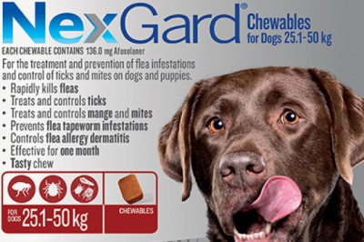 Nexgard Chewables For Dogs 25-50Kg Red | DiscountPetCare