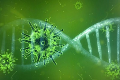 Antibody Contract Manufacturing Market 2020-2030 by Roots Analysis