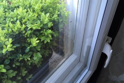 As A Secondary Coating For Doors, Windows, And Other Furniture, U.S. Secondary Glazing Protects The Base Material From Corrosion