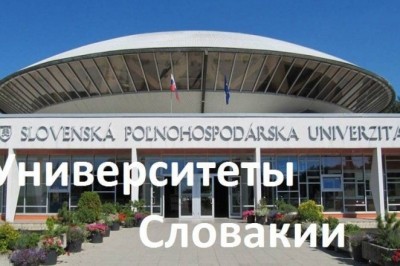 Study in Slovakia: A Guide for International Students