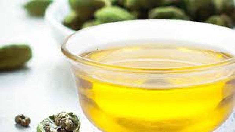 Cardamom oil Market- Trends, Challenges and Applications to 2025