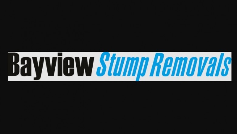 Stump Removal Can make Your Yard Additional Enjoyable