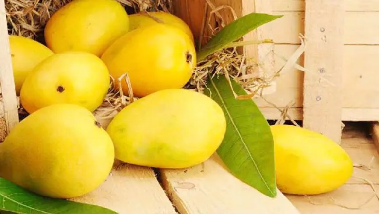 Health benefits of eating Mango
