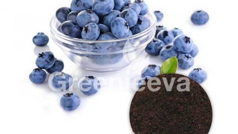 Organic Blueberry Powder