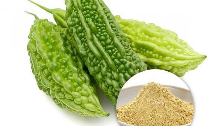 Bitter Melon Extract Powder