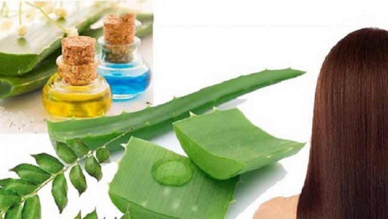 Dandruff Treatment Market Overview, Analysis forecast to 2028