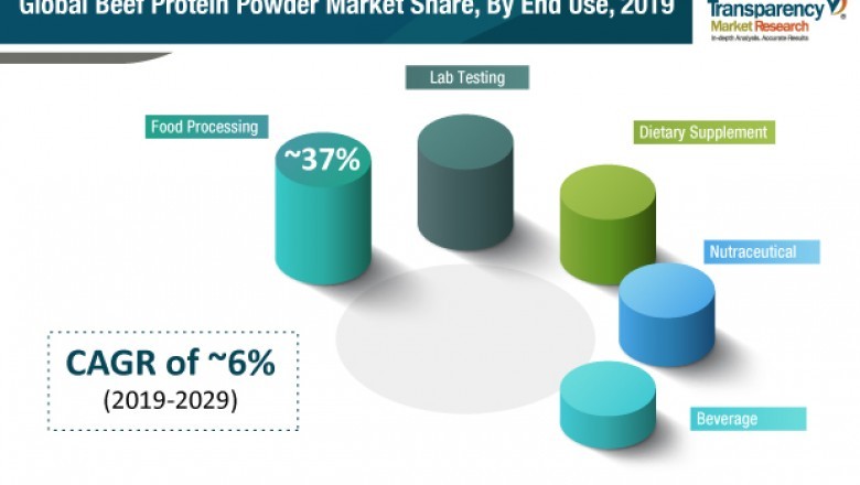 Beef Protein Powder Market to reach US$ 1.3 Bn by 2029