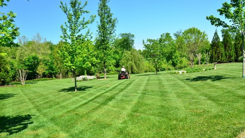 Lawn cutting services in  Hammond LA