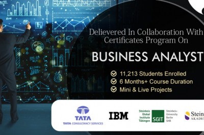 Professional Training Business Analyst Course