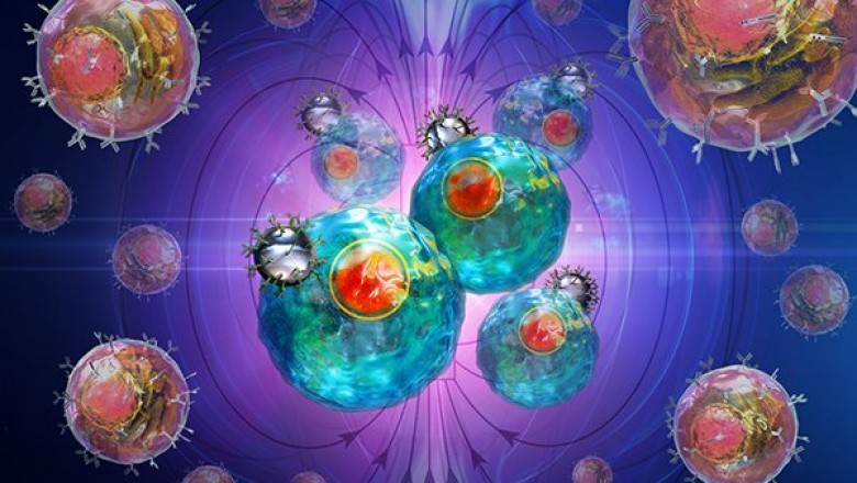 Cell Isolation Market Report 2021-26: Share, Outlook, Future Growth and Opportunities