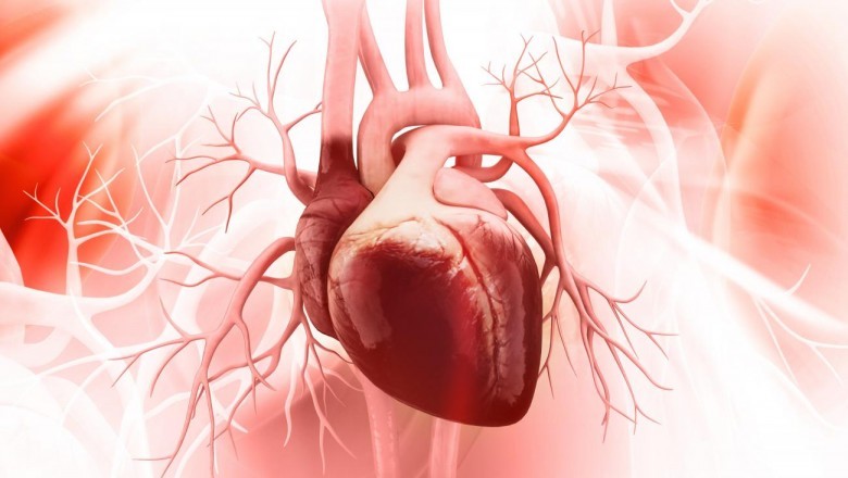 Coronary Artery Disease Therapeutics Market research report