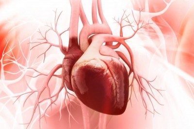 Coronary Artery Disease Therapeutics Market research report