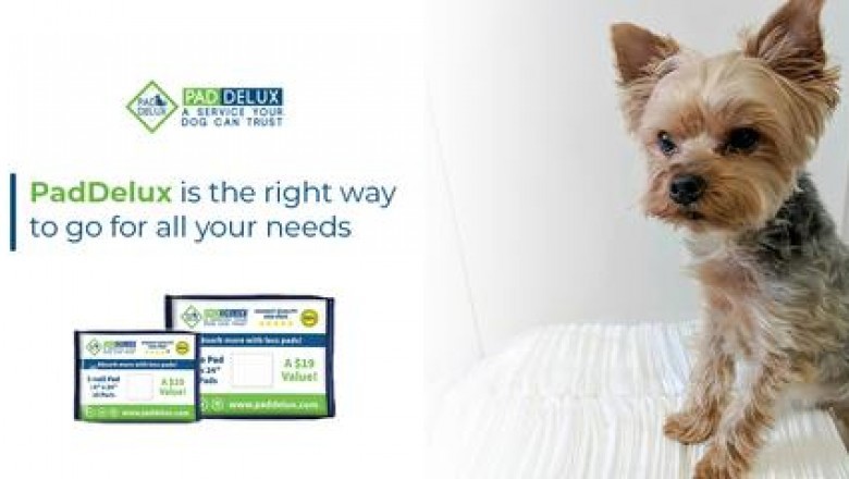 Highest Quality Dog Pads - Pad Delux