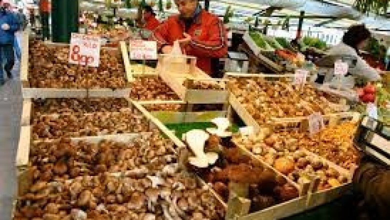 How Do You Define Mushroom? What Are Some Of The Health Advantages Of Including It In Your Diet?