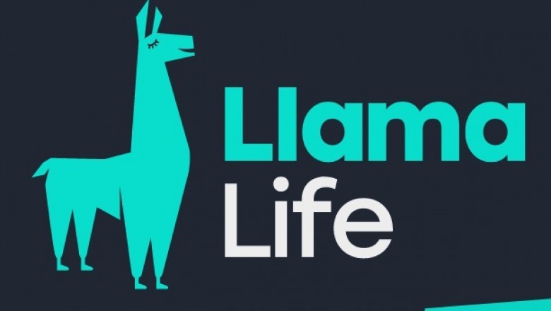 Life Insurance for Dummies