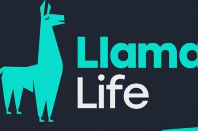 Life Insurance for Dummies