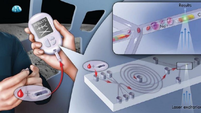 Point of Care Molecular Diagnostics Market Detail Analysis focusing on Key Players | Forecasts 2021-2028