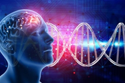 The Companion Diagnostic Market insights and trends