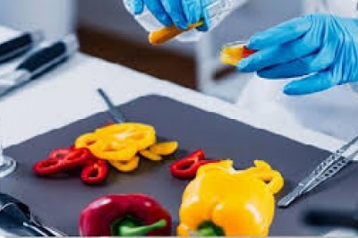 Global Food Safety Testing Market 2021 Study Scope, Key Segments, Industry Trends,Size and Forecast to 2027