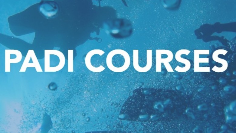 Padi Dive Courses
