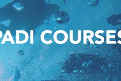 Padi Dive Courses