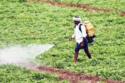 Saudi Arabia Pesticides Market Trend & Analysis 2026