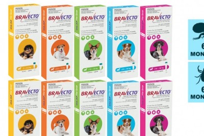 Bravecto Spot On 2 Doses for Dogs Tick Flea Prevention